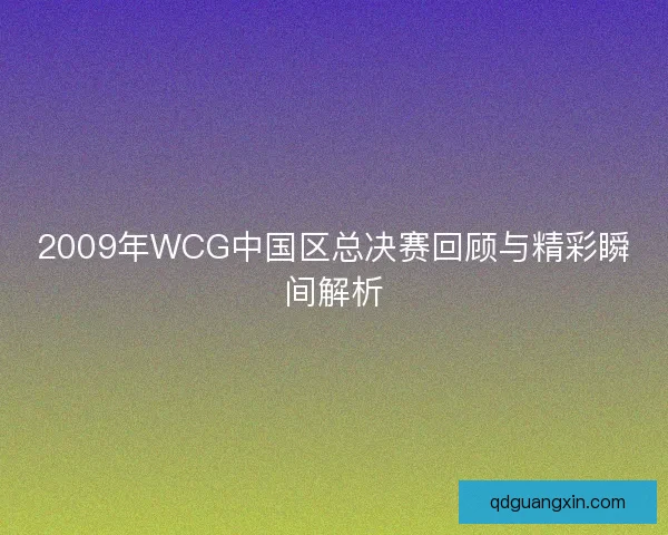 2009年WCG中国区总决赛回顾与精彩瞬间解析